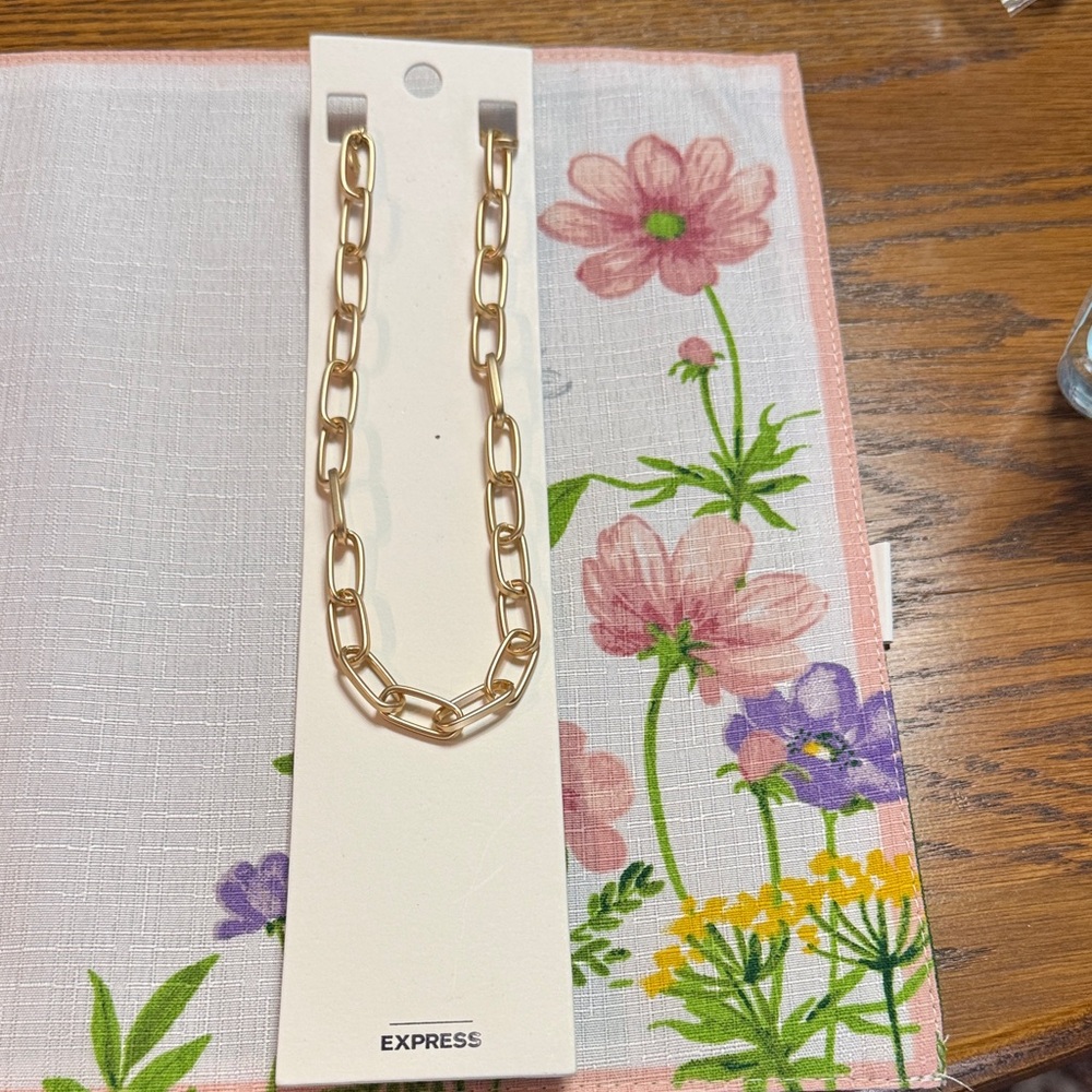 Express Gold-Tone Link Necklace Brand New